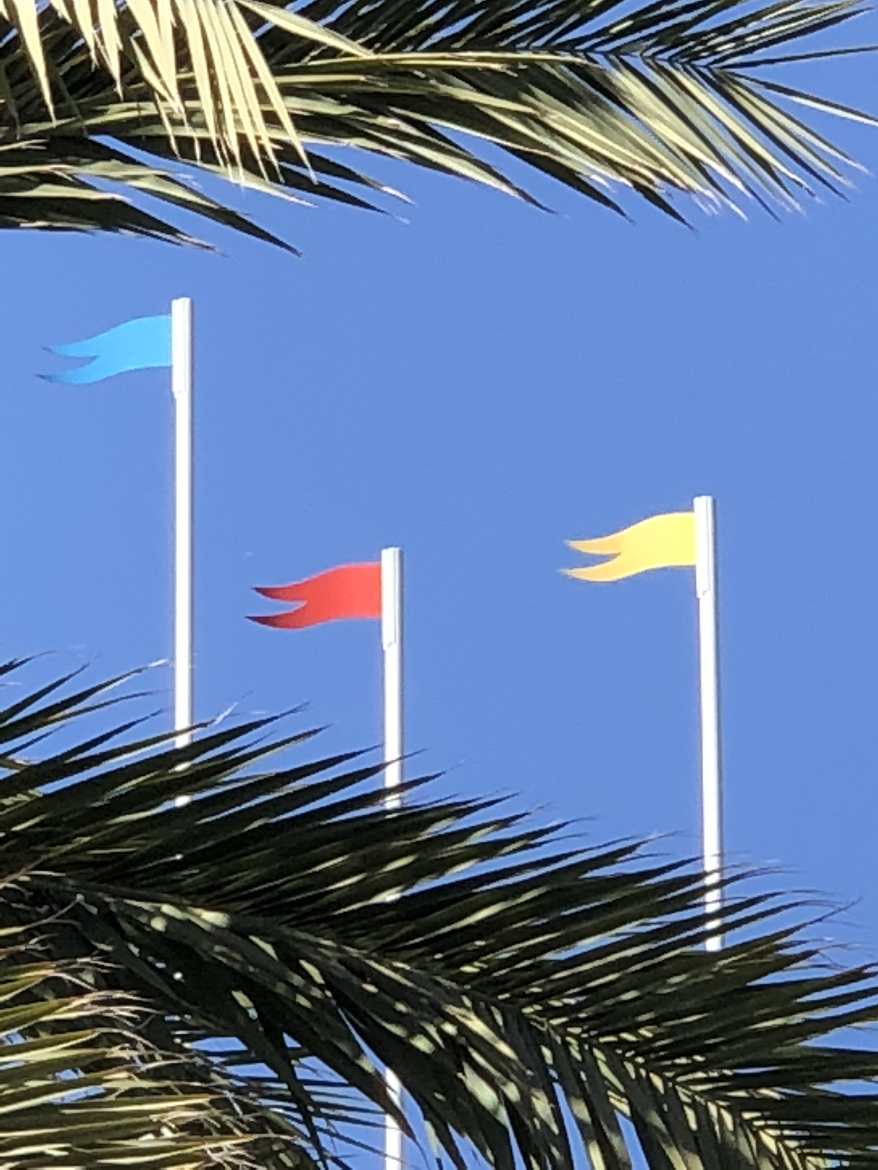 flags